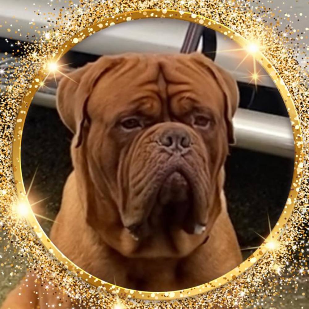 Meet your Posher, David